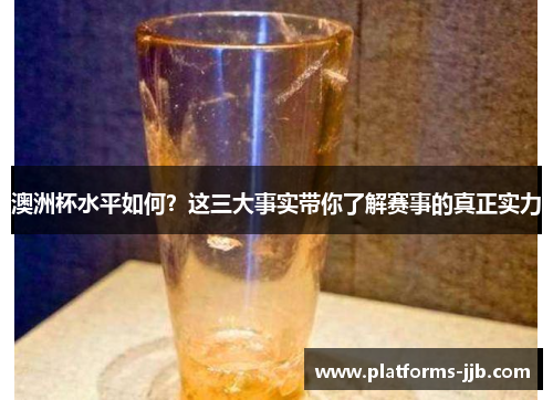 澳洲杯水平如何？这三大事实带你了解赛事的真正实力